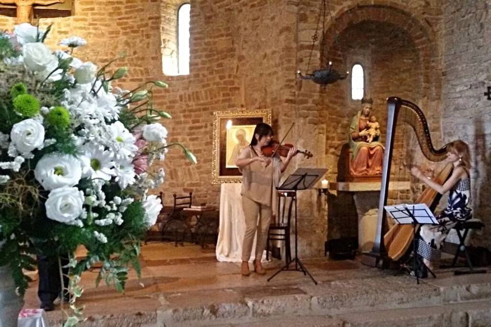 Arpa e violino