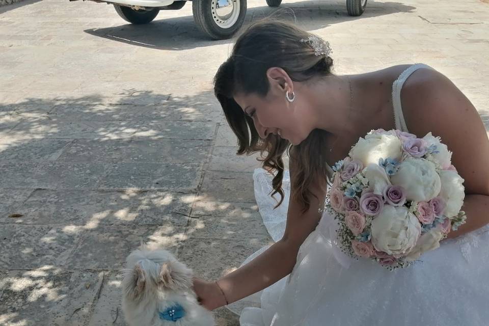 Dog Walker Bari- Wedding Dog Sitter