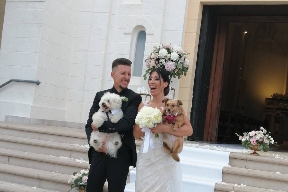 Dog Walker Bari- Wedding Dog Sitter