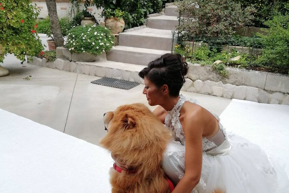 Dog Walker Bari- Wedding Dog Sitter