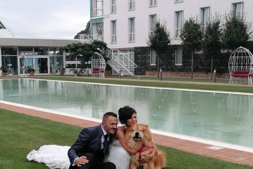 Dog Walker Bari- Wedding Dog Sitter