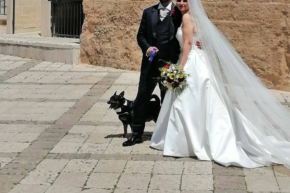 Dog Walker Bari- Wedding Dog Sitter