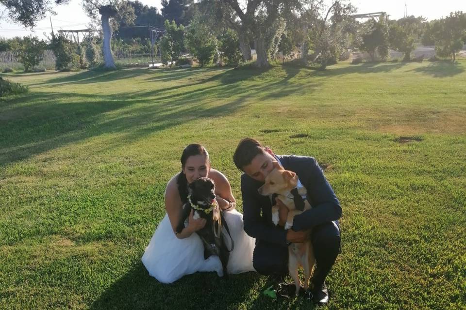 Dog Walker Bari- Wedding Dog Sitter