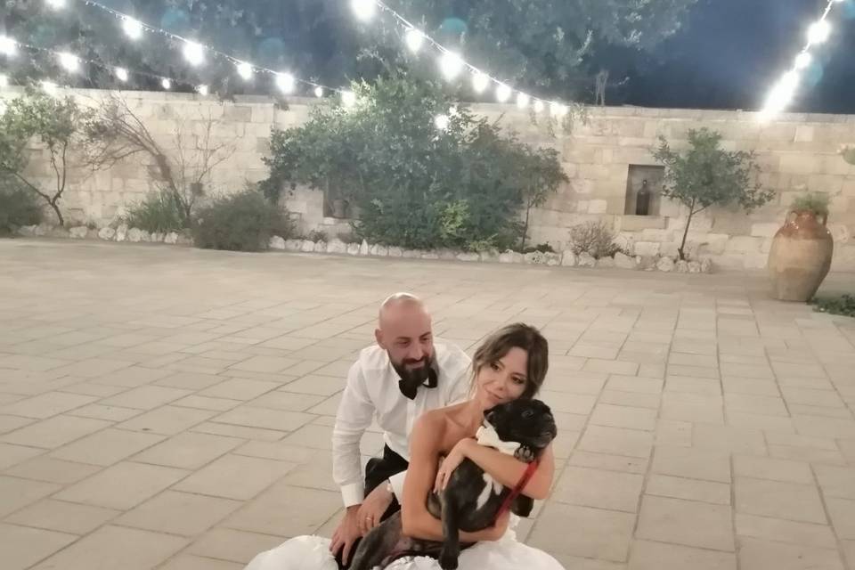 Dog Walker Bari- Wedding Dog Sitter