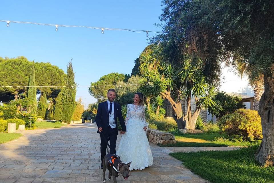 Dog Walker Bari- Wedding Dog Sitter