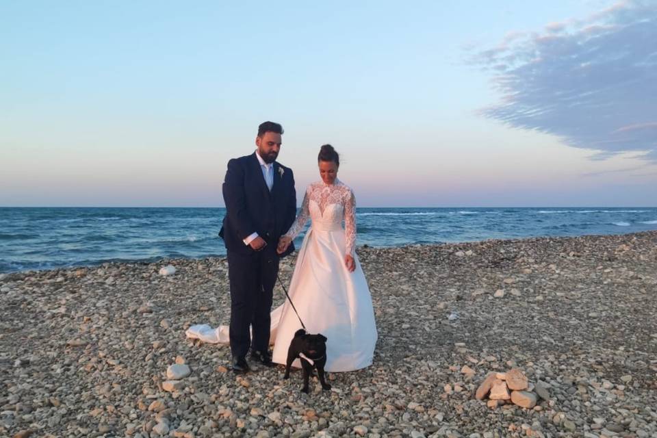 Dog Walker Bari- Wedding Dog Sitter