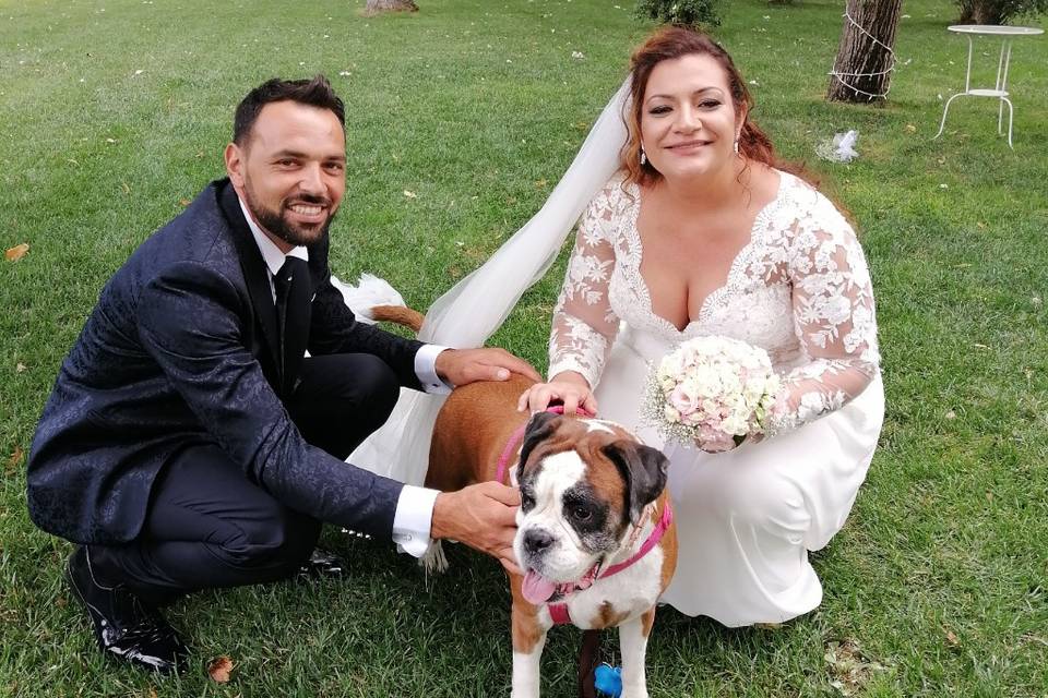 Dog Walker Bari- Wedding Dog Sitter