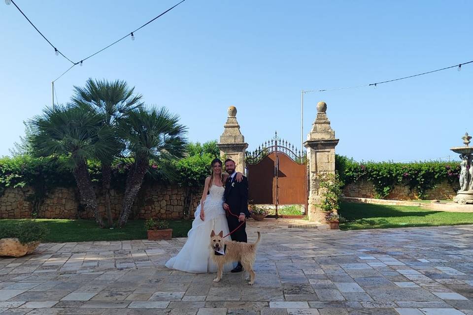 Dog Walker Bari- Wedding Dog Sitter