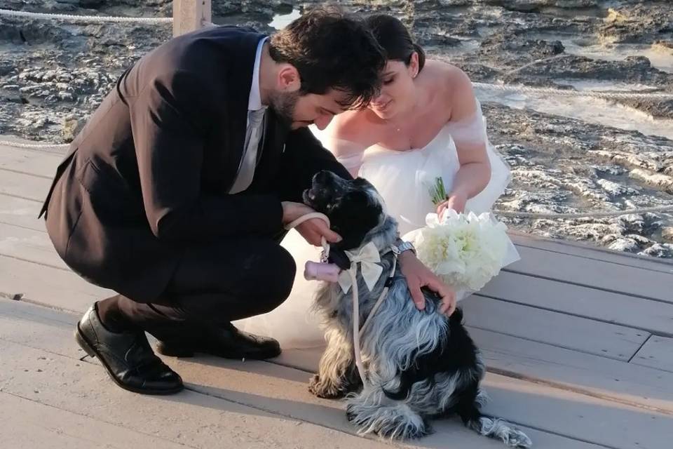 Dog Walker Bari- Wedding Dog Sitter