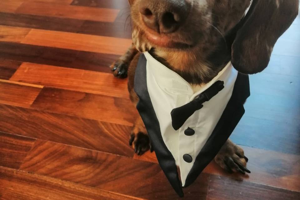 Vito