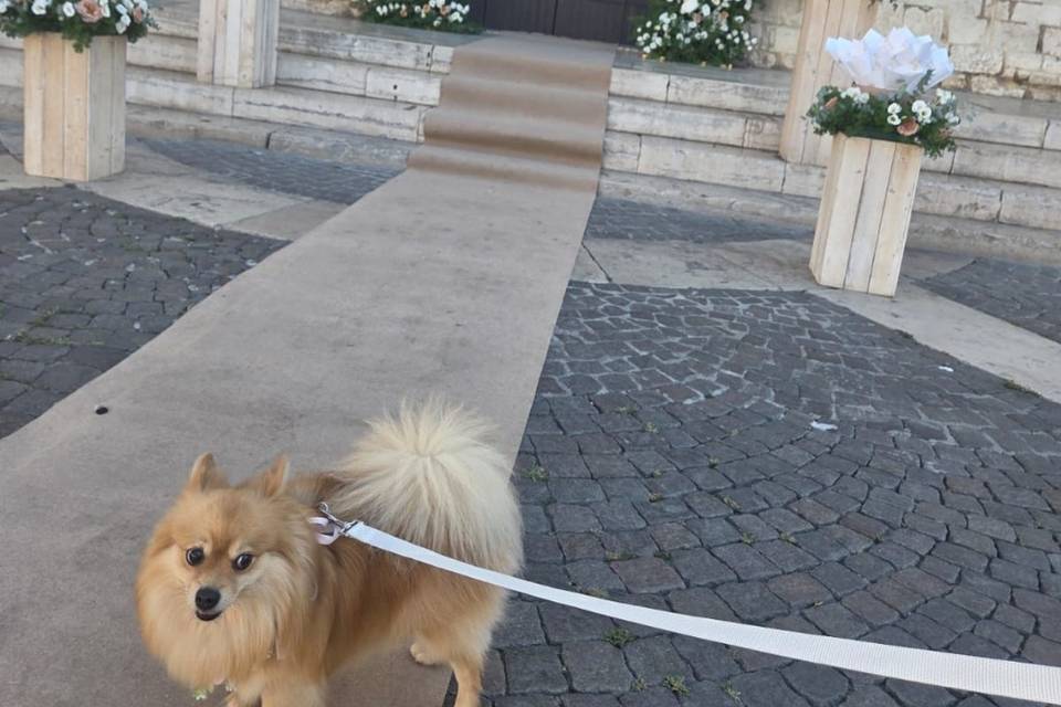 Mia