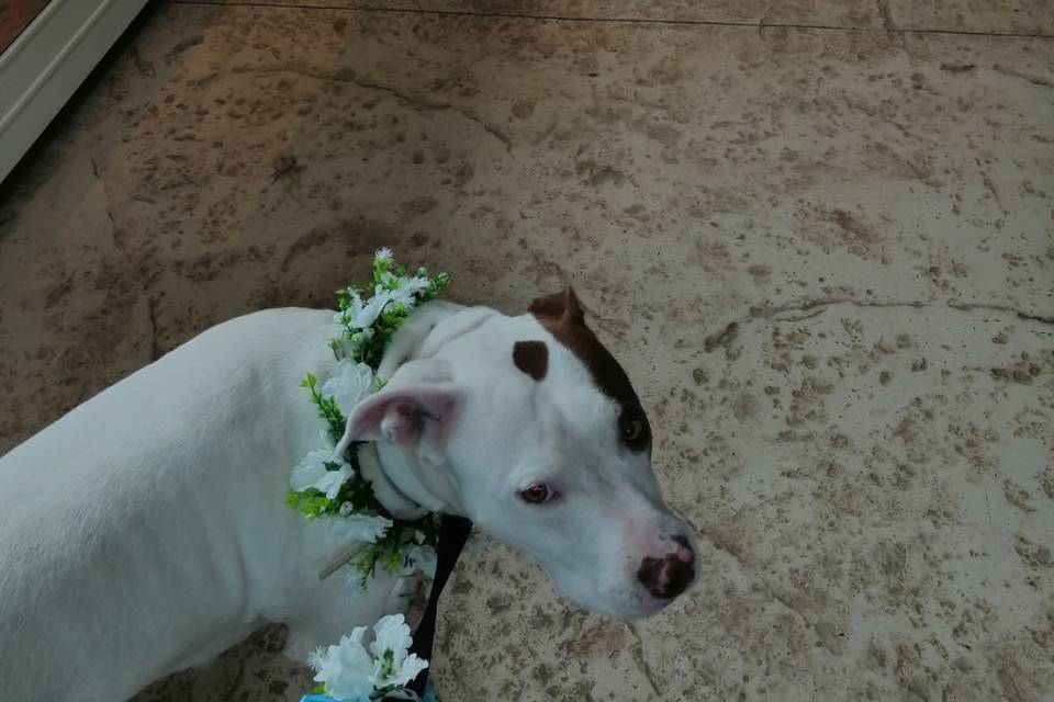 Chloe