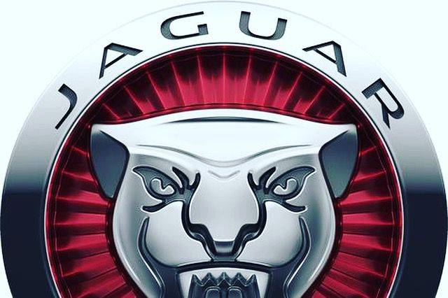 Logo jaguar