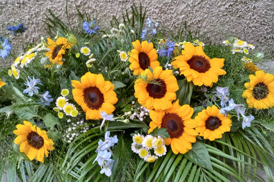 Girasoli e fiori azzurri