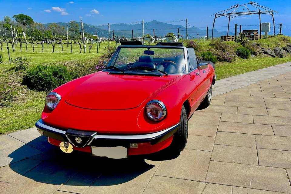 Alfa Romeo Duetto