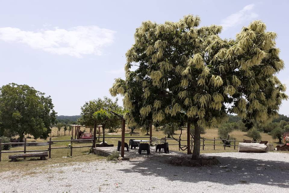 Agriturismo La Baita