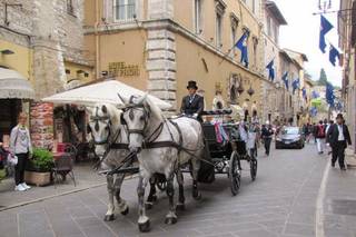 Il Vetturino di Proietti Coraggi Christian