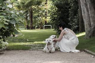L'Occhio del Lupo