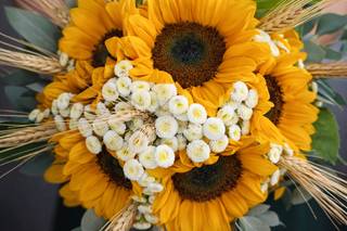 Il Girasole