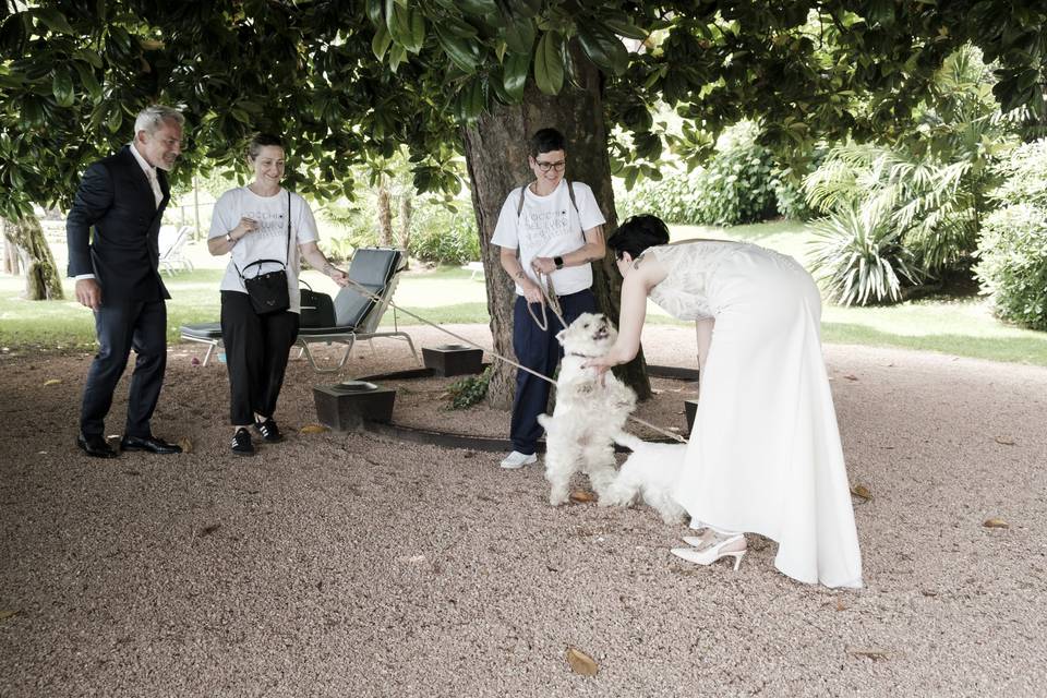 Wedding
