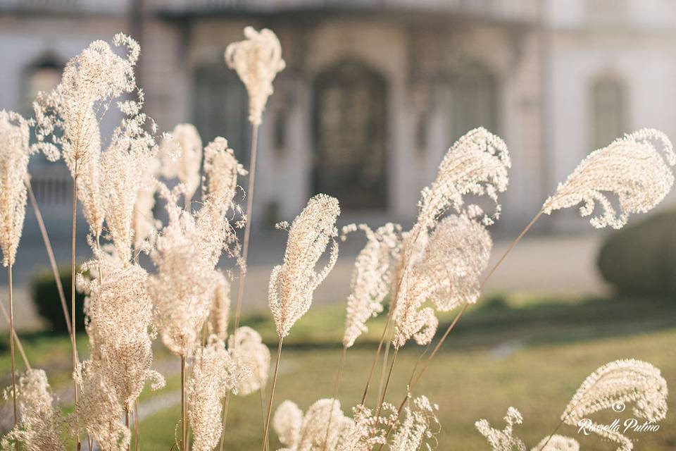 Villa Borghi - Wedding