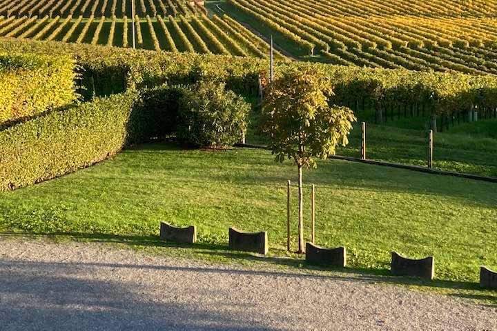 Vigneti