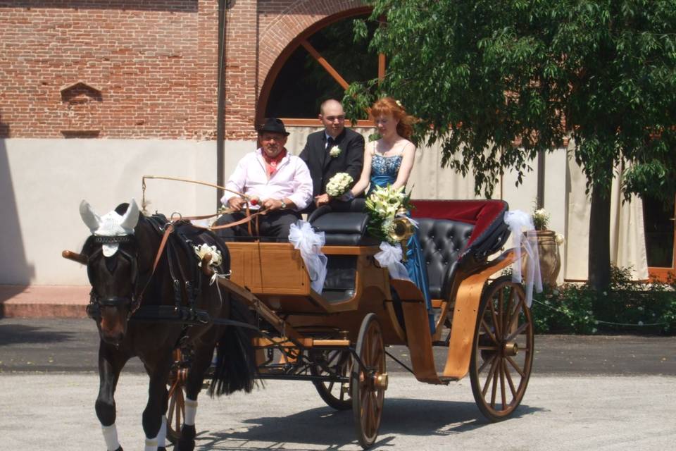 In carrozza