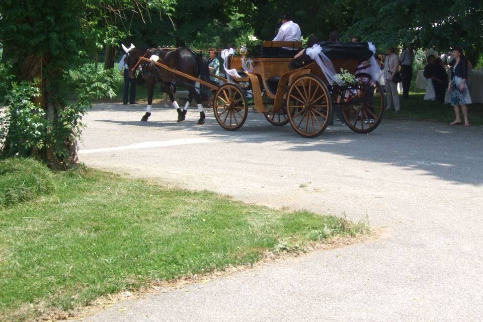 Barchessa Le Quattro Rose