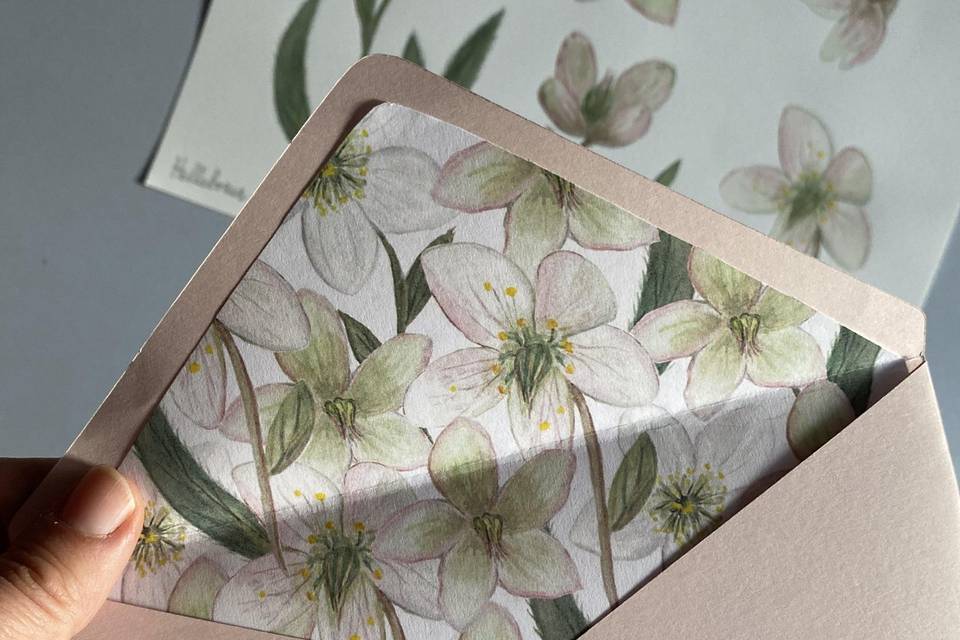 Busta con liner acquerello