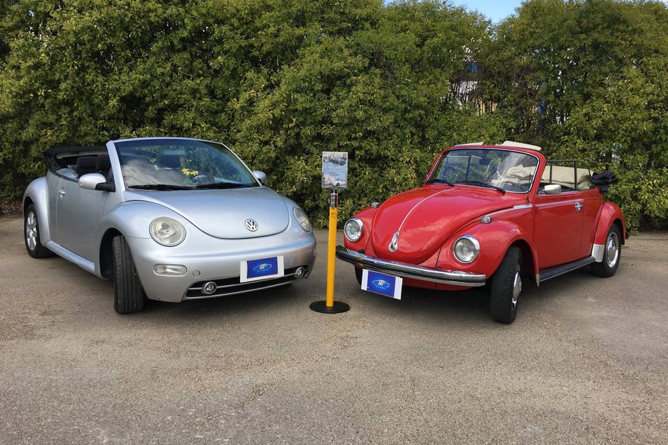 New Beetle & Maggiolino Cabrio