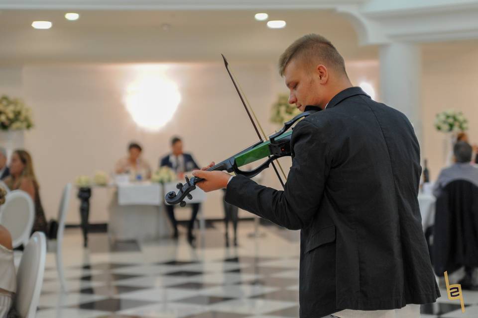 The violin show