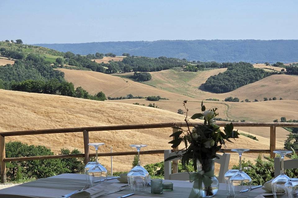 Panorama