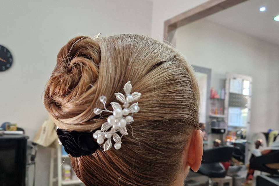 Chignon Elgante