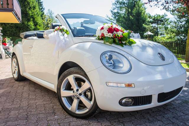 Il Maggiolone New Beetle di Flavio