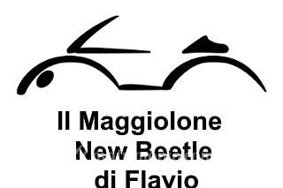 Il Maggiolone New Beetle di Flavio