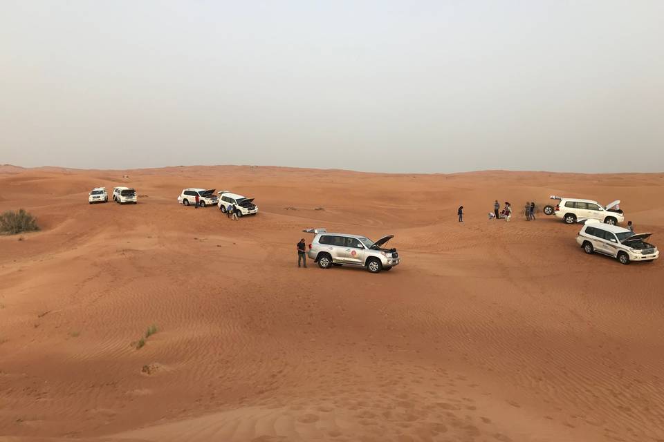 Desert Dubai