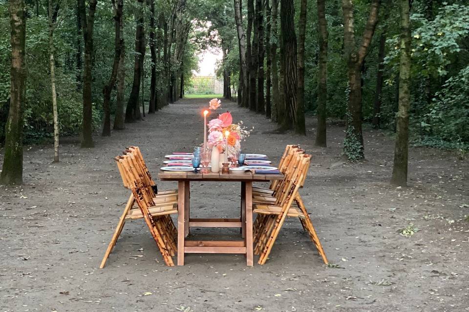 Cena nel bosco