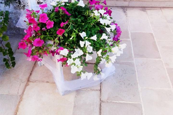 Dettagli Allestimento Country