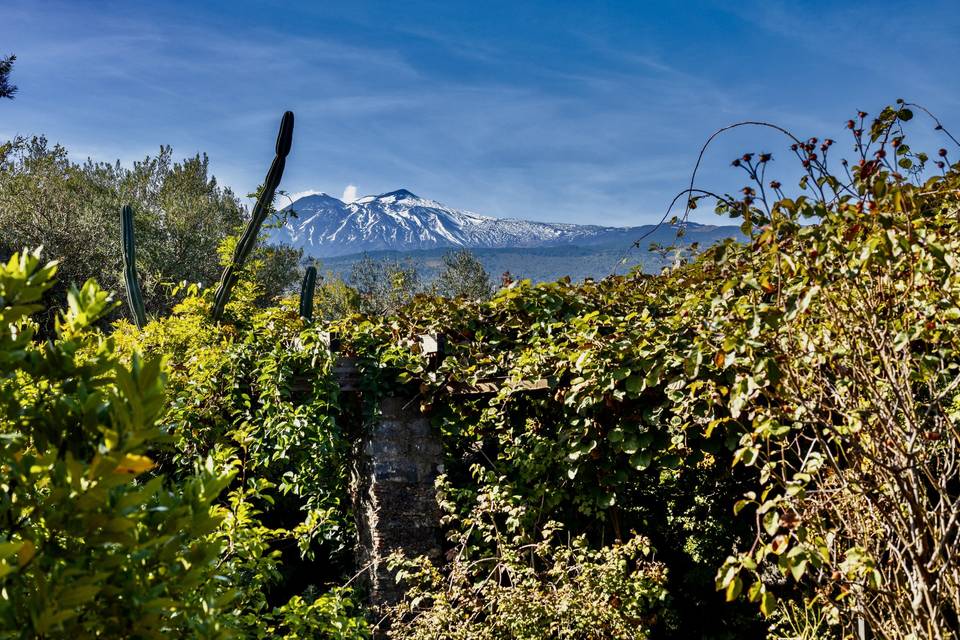 Vista dell'Etna dal giardino