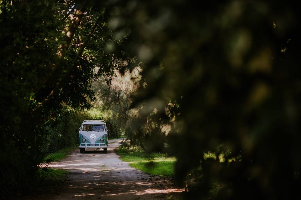 Arrivo sposa con damigelle