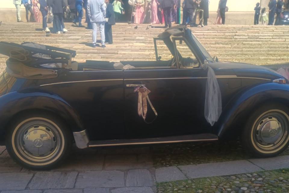 Cabrio