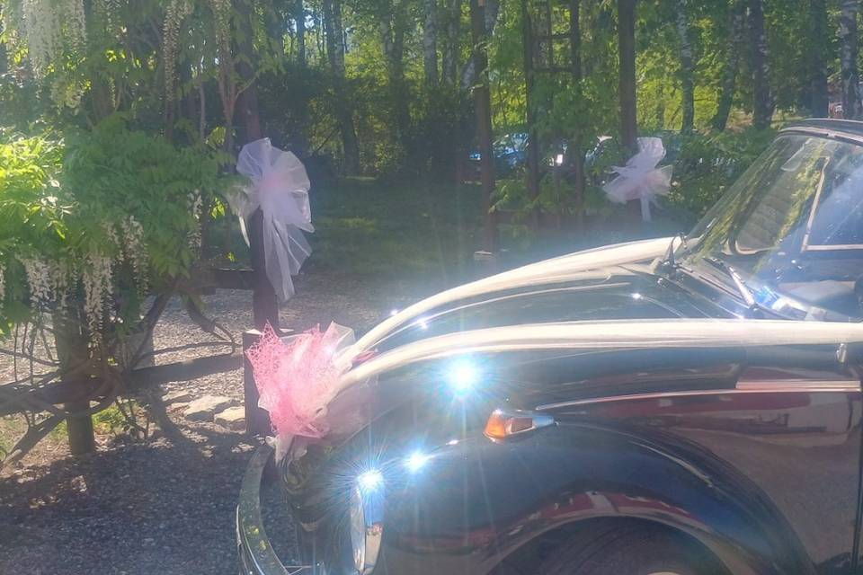 Cabrio