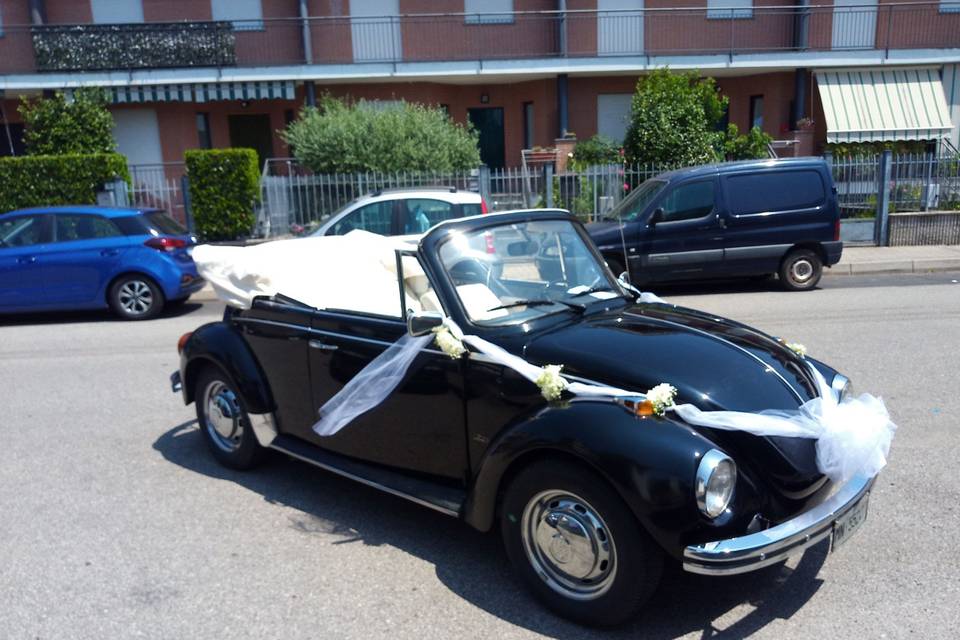 Cabrio