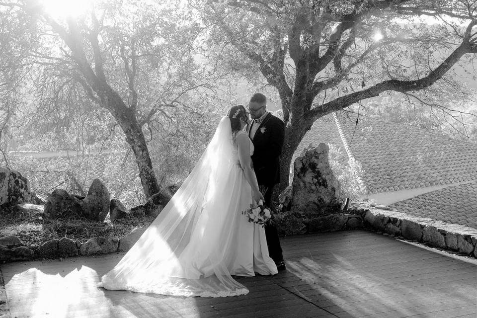 Vincenzo & Angela