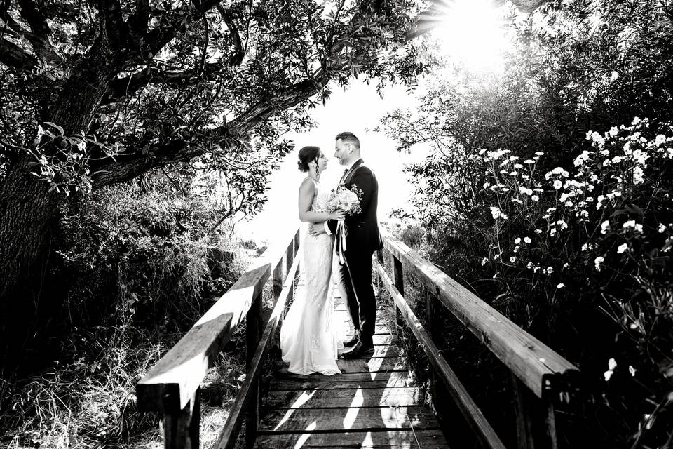 David & Silvia