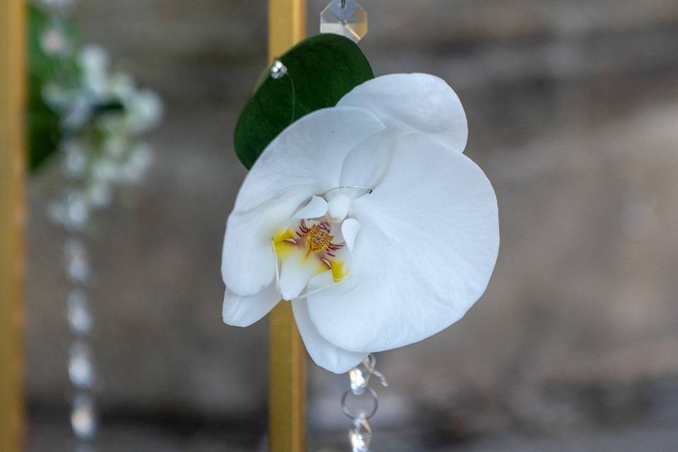 Accessori