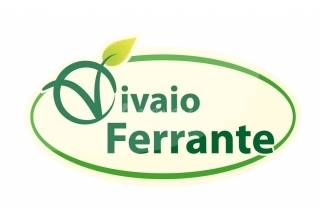 Vivaio Ferrante