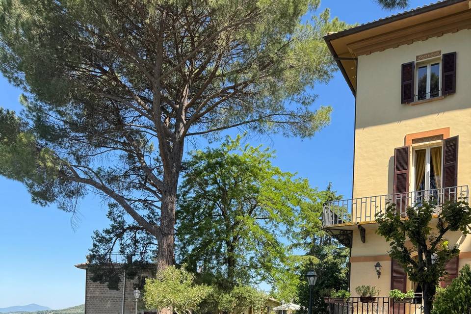 Giardino