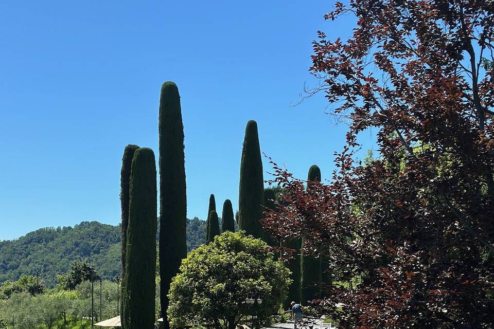 Decorazioni matrimonio