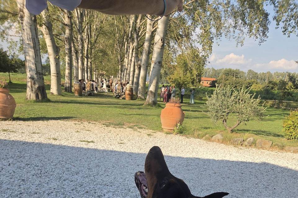 Attimi